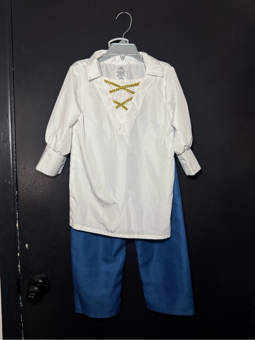 Disney Prince Eric Costume